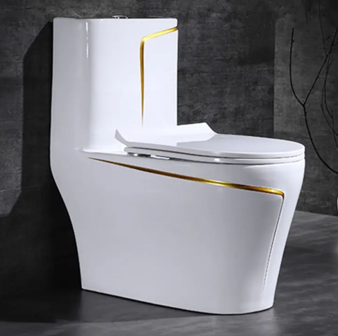 Унитаз-моноблок Zandini BARI Z19-19W белый