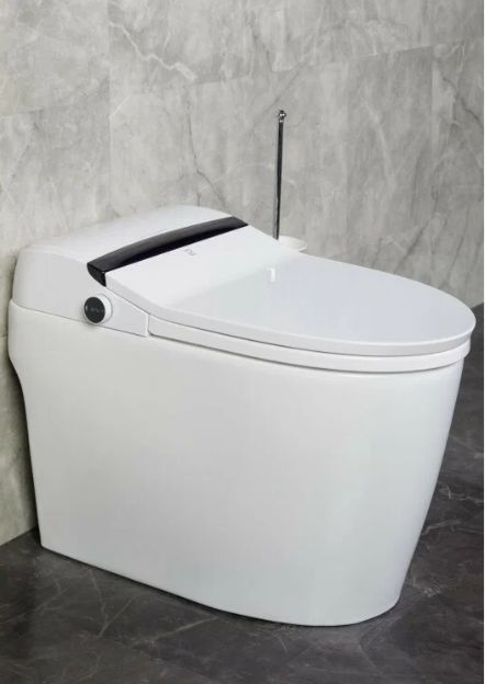Унитаз приставной Zandini Smart Z19-99 безободковый