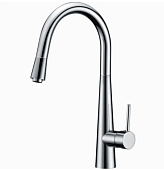 Смеситель для кухни Ganzer Rein GZ16022 хром