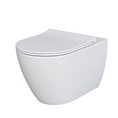 Унитаз Queen 113T20101R (570*360*400) БЕЛЫЙ МАТОВЫЙ подвесной БЕЗОБОДКОВЫЙ с тонкой крышкой, 2 места