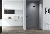 Дверь в проём Cezares BELLAGIO-B-12-100-C-NERO